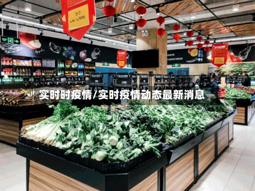 实时时疫情/实时疫情动态最新消息-第1张图片