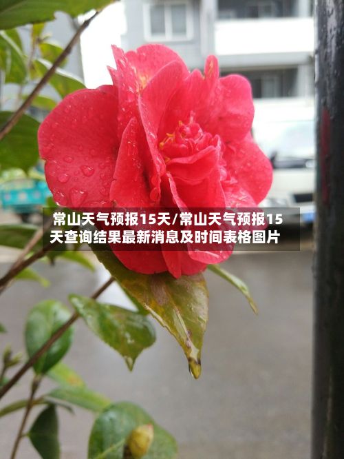 常山天气预报15天/常山天气预报15天查询结果最新消息及时间表格图片-第1张图片