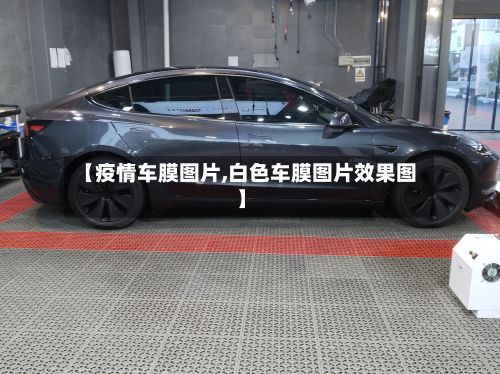 【疫情车膜图片,白色车膜图片效果图】-第1张图片