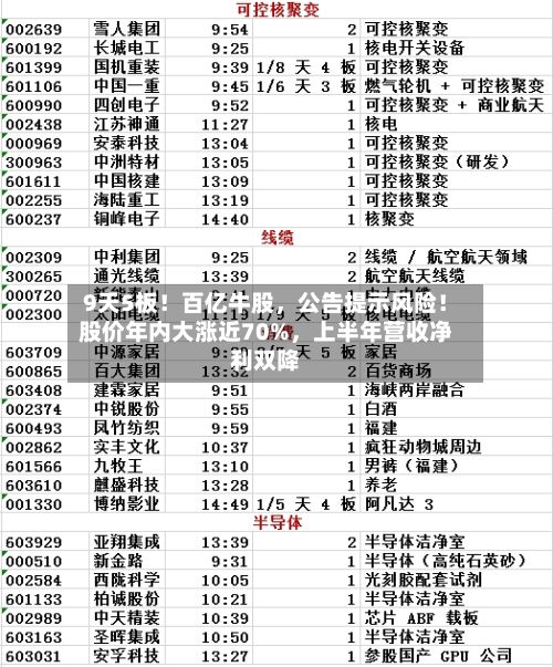 9天5板！百亿牛股，公告提示风险！股价年内大涨近70%，上半年营收净利双降-第1张图片