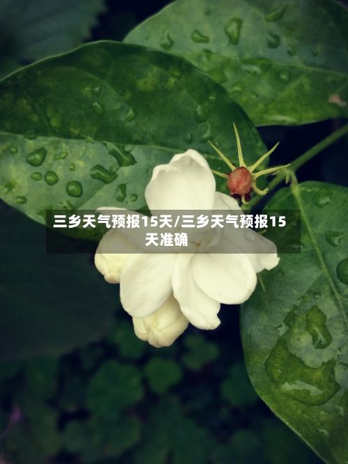 三乡天气预报15天/三乡天气预报15天准确-第1张图片