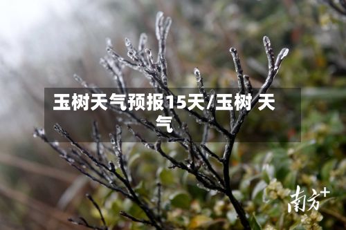 玉树天气预报15天/玉树 天气-第1张图片