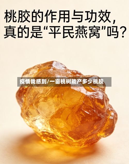 疫情我感到/一亩桃树能产多少桃胶-第1张图片