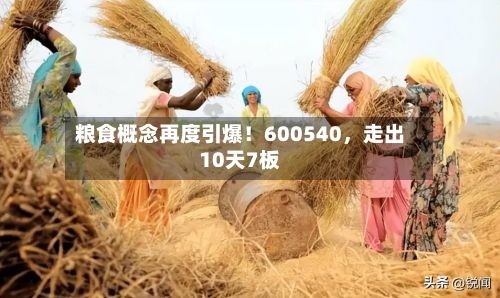 粮食概念再度引爆！600540	，走出10天7板-第1张图片