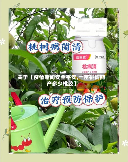 关于【疫情期间安全平安,一亩桃树能产多少桃胶】-第1张图片