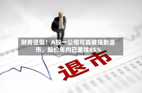 财务造假！A股一公司可能被强制退市，股价年内已重挫85%-第1张图片