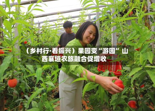（乡村行·看振兴）果园变“游园	” 山西襄垣农旅融合促增收-第1张图片