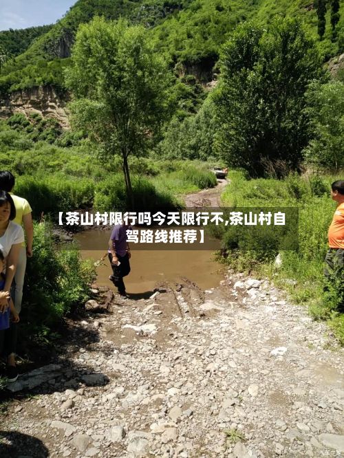 【茶山村限行吗今天限行不,茶山村自驾路线推荐】-第1张图片