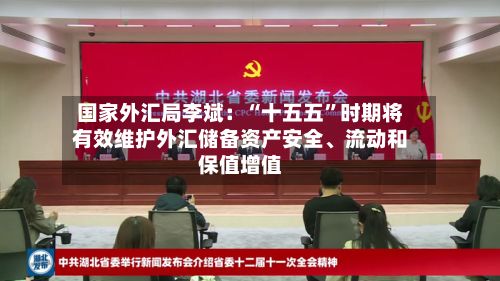国家外汇局李斌：“十五五”时期将有效维护外汇储备资产安全、流动和保值增值-第1张图片