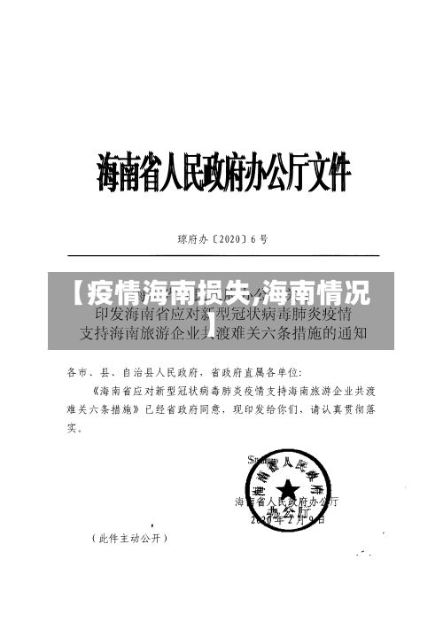 【疫情海南损失,海南情况】-第1张图片