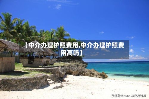 【中介办理护照费用,中介办理护照费用高吗】-第1张图片