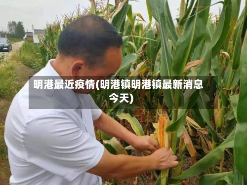 明港最近疫情(明港镇明港镇最新消息今天)-第1张图片