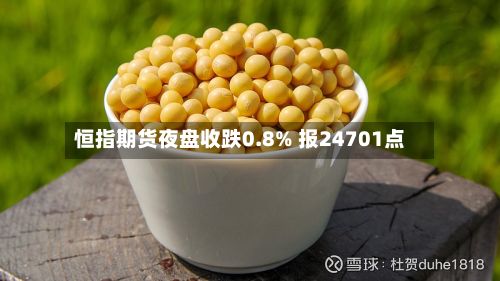 恒指期货夜盘收跌0.8% 报24701点-第1张图片
