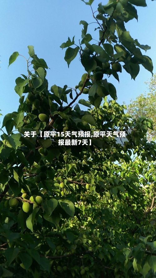 关于【原平15天气预报,原平天气预报最新7天】-第1张图片