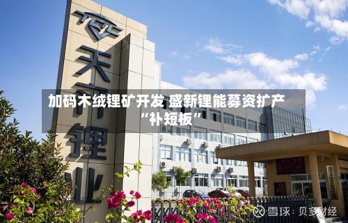 加码木绒锂矿开发 盛新锂能募资扩产“补短板”-第1张图片
