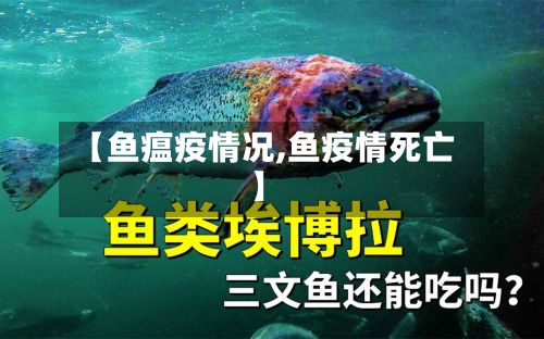 【鱼瘟疫情况,鱼疫情死亡】-第1张图片