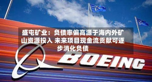 盛屯矿业:负债率偏高源于海内外矿山资源投入 未来项目现金流贡献可逐步消化负债-第1张图片