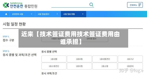 近来【技术签证费用技术签证费用由谁承担】-第1张图片