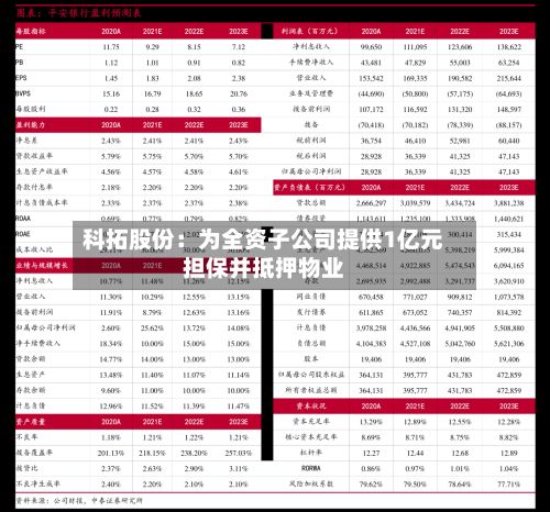 科拓股份:为全资子公司提供1亿元担保并抵押物业-第1张图片