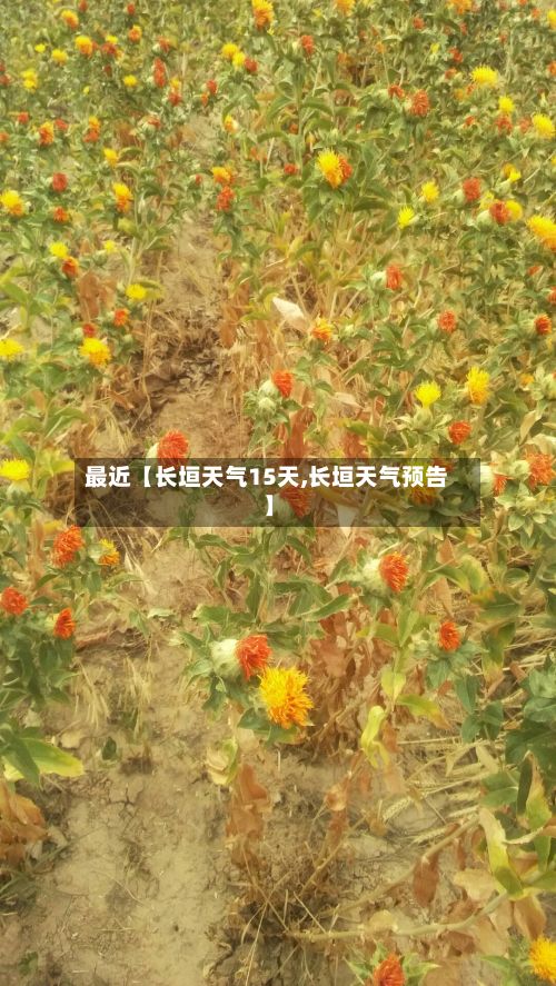 最近【长垣天气15天,长垣天气预告】-第1张图片