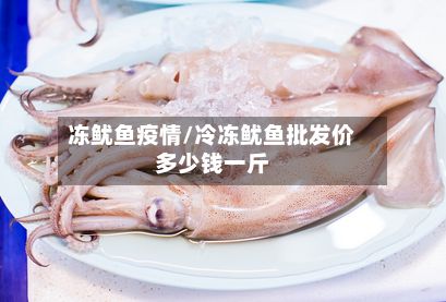 冻鱿鱼疫情/冷冻鱿鱼批发价多少钱一斤-第1张图片