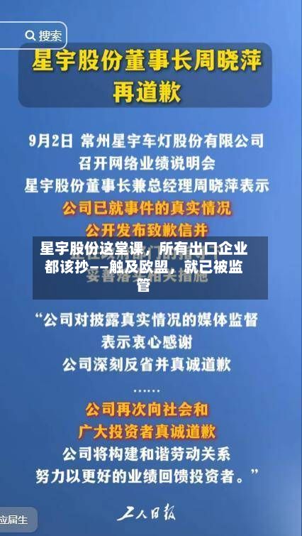 星宇股份这堂课，所有出口企业都该抄——触及欧盟	，就已被监管-第1张图片