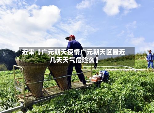 近来【广元朝天疫情广元朝天区最近几天天气危险么】-第1张图片