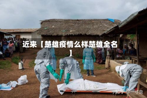 近来【楚雄疫情么样楚雄全名】-第1张图片