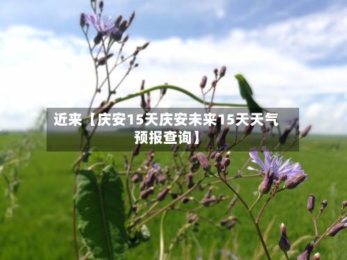 近来【庆安15天庆安未来15天天气预报查询】-第1张图片