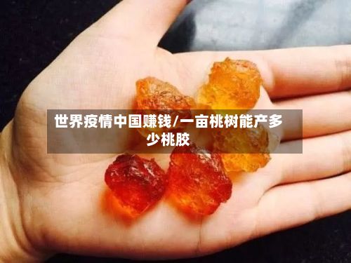 世界疫情中国赚钱/一亩桃树能产多少桃胶-第1张图片