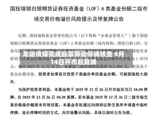 龙版传媒完成股票异动停牌核查 9月14日开市起复牌-第1张图片