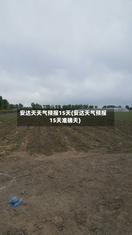 安达天天气预报15天(安达天气预报15天准确天)-第1张图片