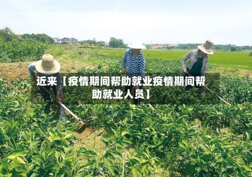 近来【疫情期间帮助就业疫情期间帮助就业人员】-第1张图片