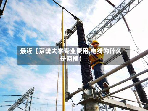 最近【京畿大学专业费用,电线为什么是两根】-第1张图片