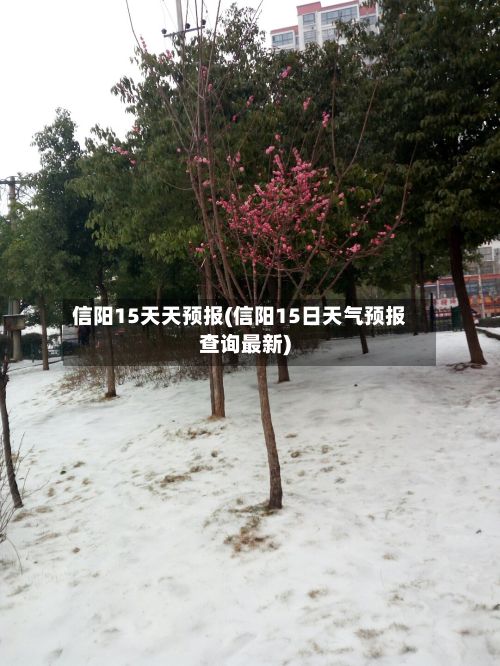 信阳15天天预报(信阳15日天气预报查询最新)-第1张图片