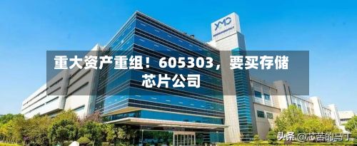 重大资产重组！605303	，要买存储芯片公司-第1张图片