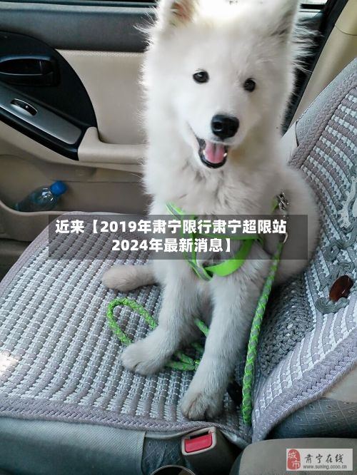 近来【2019年肃宁限行肃宁超限站2024年最新消息】-第1张图片