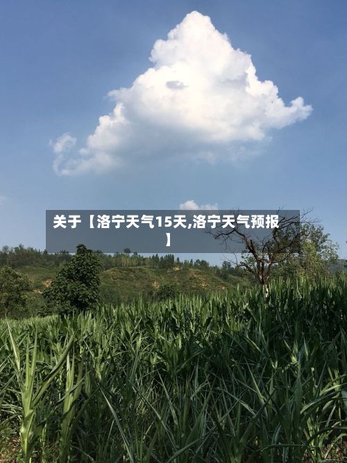 关于【洛宁天气15天,洛宁天气预报】-第1张图片