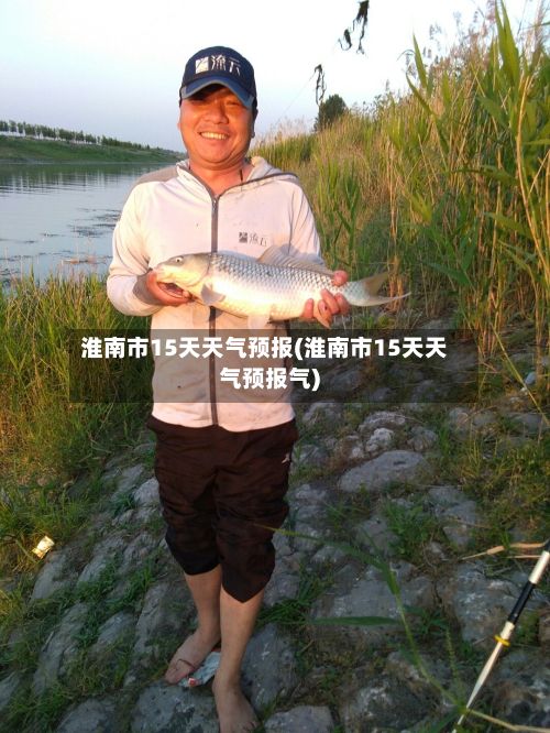 淮南市15天天气预报(淮南市15天天气预报气)-第1张图片