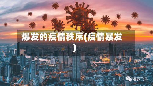 爆发的疫情秩序(疫情暴发)-第1张图片
