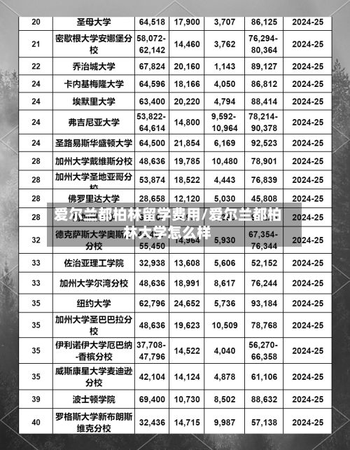 爱尔兰都柏林留学费用/爱尔兰都柏林大学怎么样-第1张图片