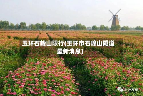 玉环石峰山限行(玉环市石峰山隧道最新消息)-第1张图片
