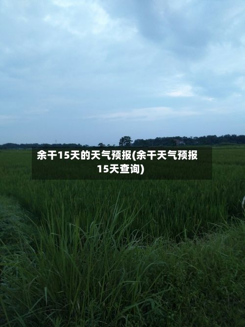 余干15天的天气预报(余干天气预报15天查询)-第1张图片