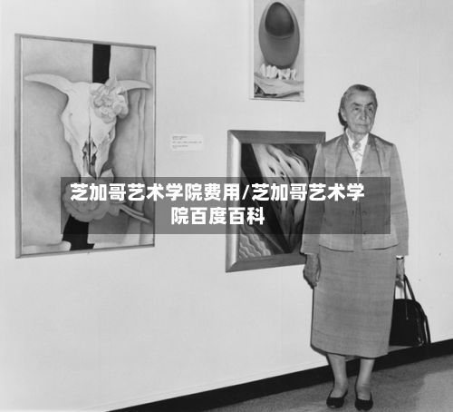 芝加哥艺术学院费用/芝加哥艺术学院百度百科-第1张图片