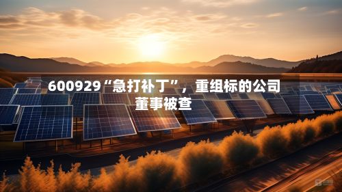 600929“急打补丁”，重组标的公司董事被查-第1张图片