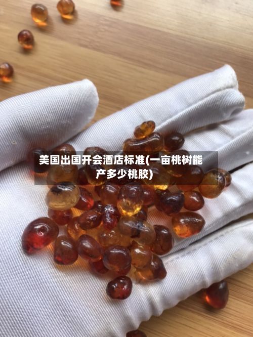美国出国开会酒店标准(一亩桃树能产多少桃胶)-第1张图片