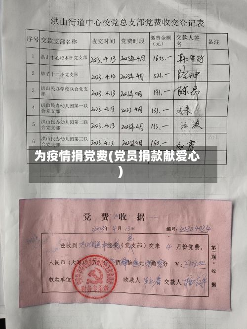 为疫情捐党费(党员捐款献爱心)-第1张图片