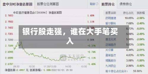 银行股走强，谁在大手笔买入-第1张图片