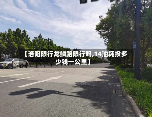 【洛阳限行龙鳞路限行吗,14油耗投多少钱一公里】-第1张图片