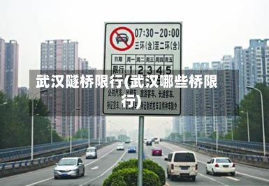武汉隧桥限行(武汉哪些桥限行)-第1张图片